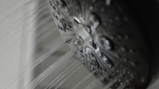 失敗しない選び方｜節水・水圧の基礎